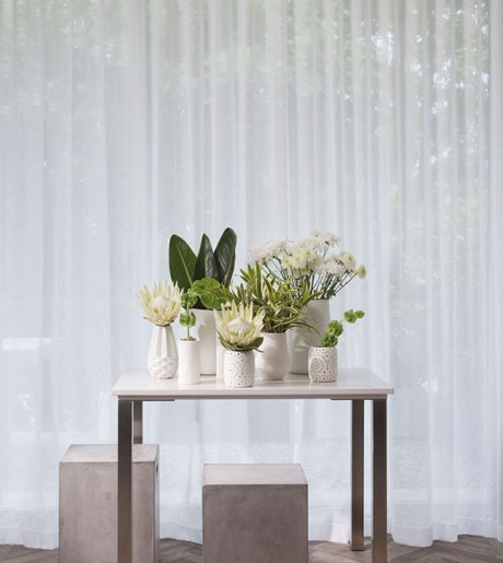 white sheer curtains in modern scene with plants