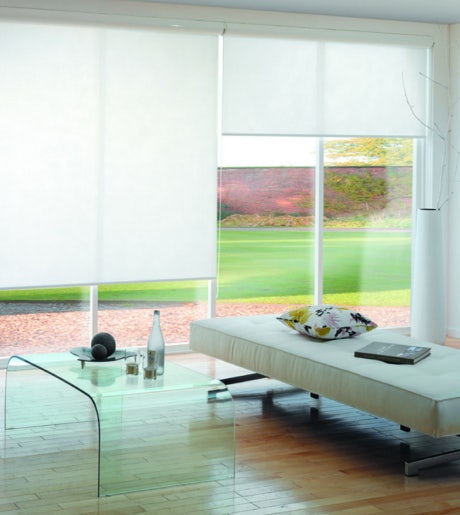 white light filter roller blinds in contemporary lounge room