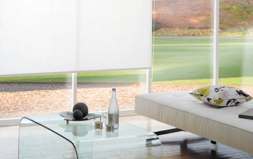 white dual roller blinds in modern lounge room
