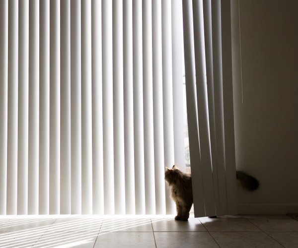 Curtains drawn for privacy in a living room
