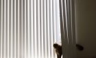 Curtains drawn for privacy in a living room