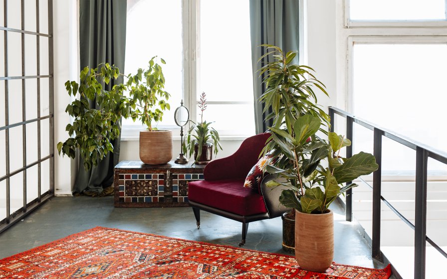Boho minimalist living space with white walls and natural textures