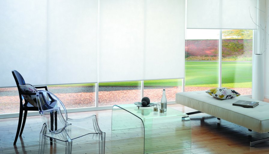 White light-filtering roller blinds partly lowered on large glass doors overlooking gardens.