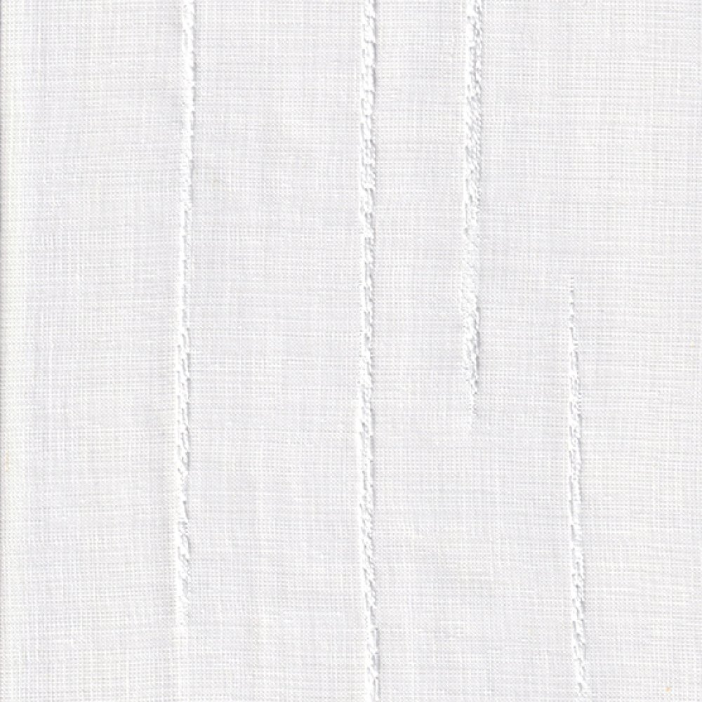 Coastal fabric in fog