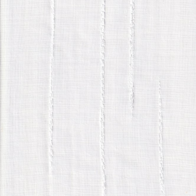 Coastal fabric in fog
