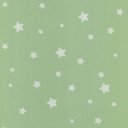 Explorer fabric in twinkle