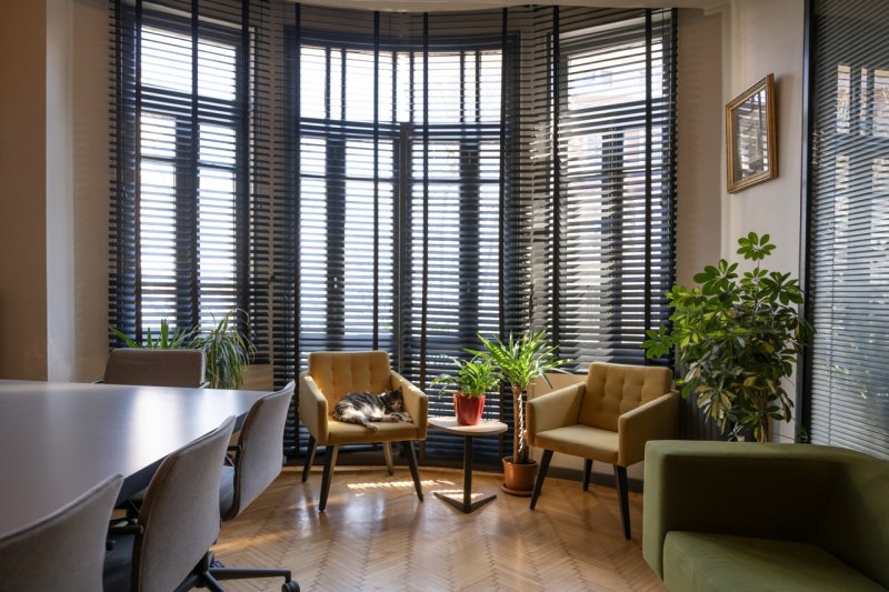Dark charcoal plantation shutters on curved office windows with brass armchairs.