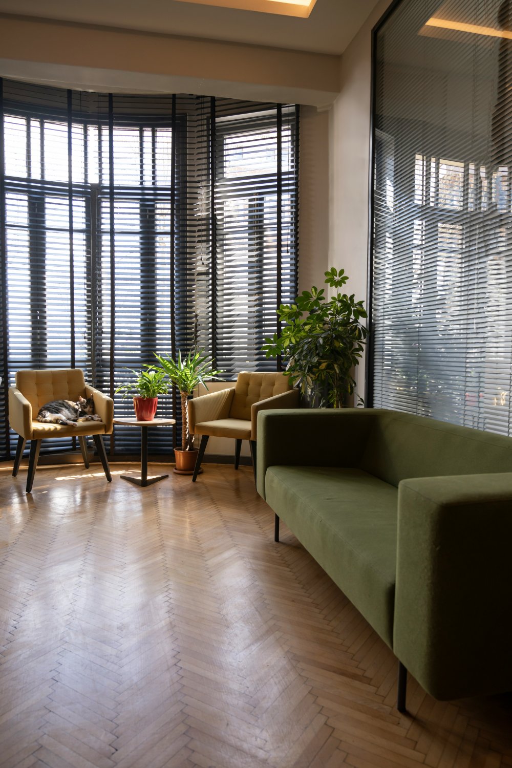 Black venetian blinds on bay windows in an office lounge with a green sofa and parquet floor.